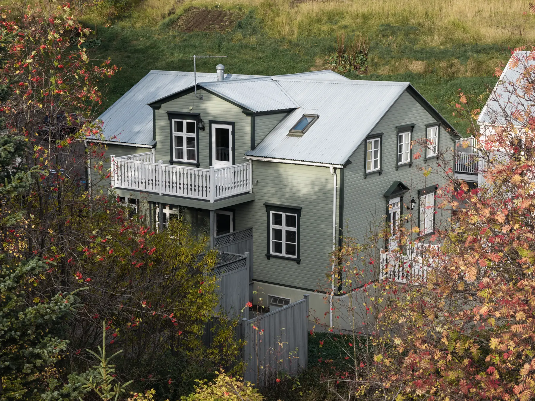 The house from above, with its balcony and yard, and the red leaves of the rowan trees in front