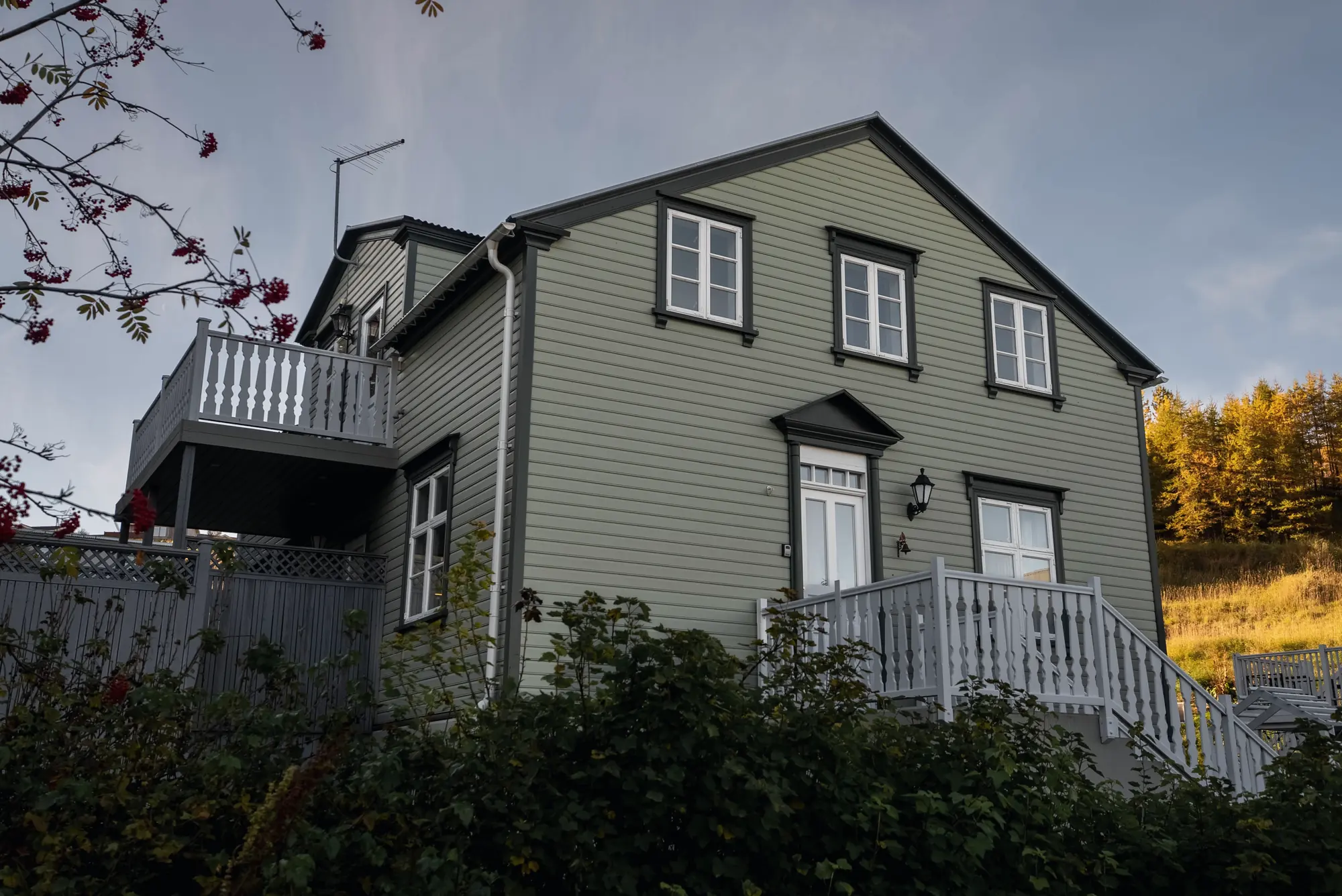 The house from the side street, with the grey balcony, the entrance steps with their white railing and the larch trees on the hill behind
