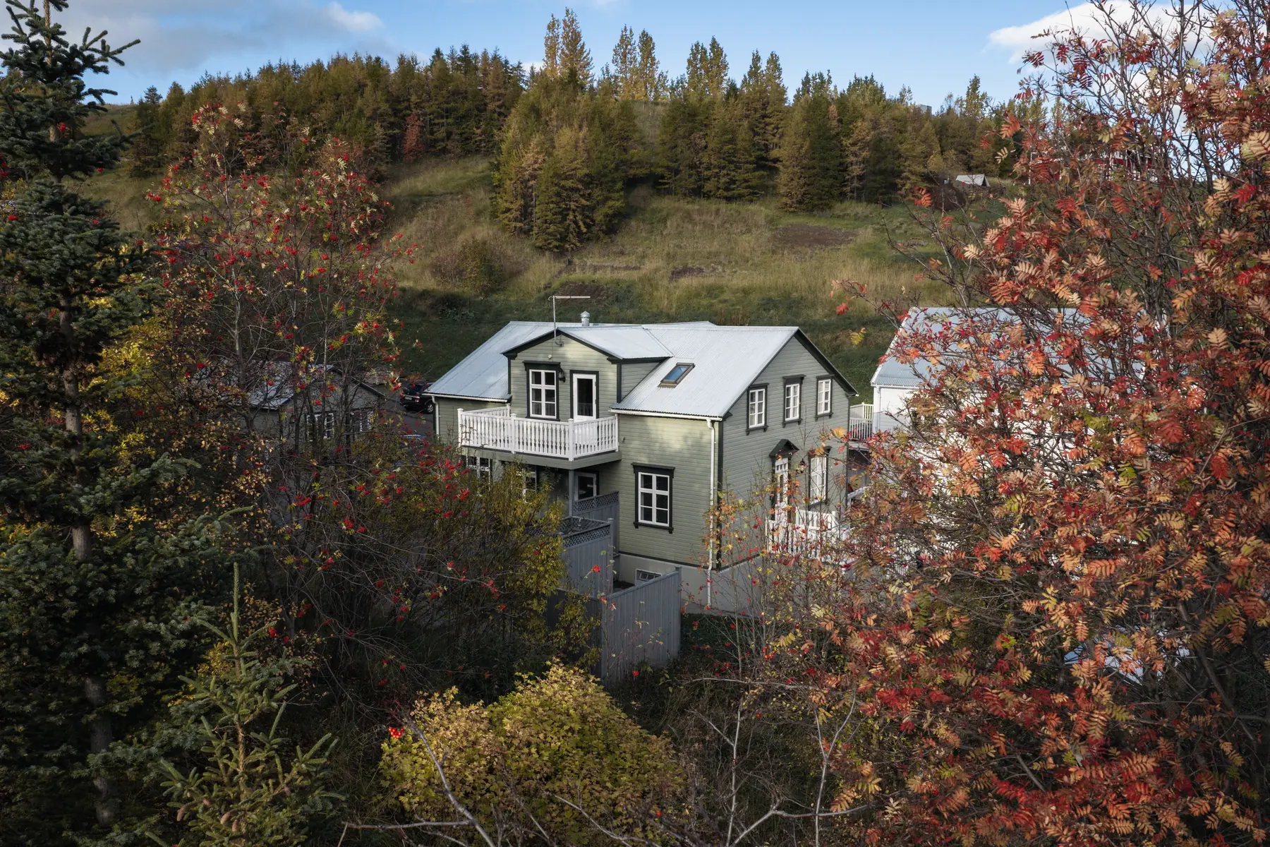 The house seen across the hillside, with the autumn trees around it and red rowan leaves in front